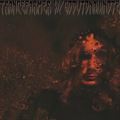 Trancefarmer #33 w/ Gooutonahinote (22/10/25)