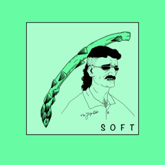 Soft - master