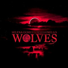 WOLVES ( SELENA GOMEZ ft MASHMELLO) - JAPANDEE