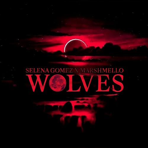 WOLVES ( SELENA GOMEZ ft MASHMELLO) - JAPANDEE