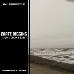 Crate Digging - Liquid Drum & Bass (Feb 2023)