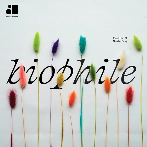 Atomic Moog - Ecotone