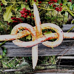Feral - Island County Mystery