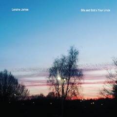 Loraine James - Splinter (GREYFIELD WOODS remix)