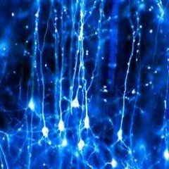 4. Mind, Body, And Soul (Forever Reaction)