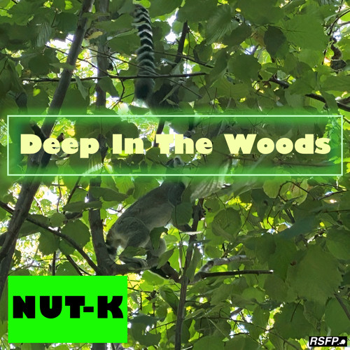 Deep In The Woods (feat. Ölme)