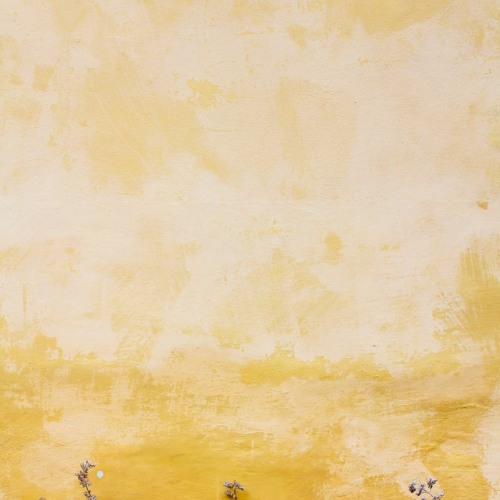 Yellow edit audio :)
