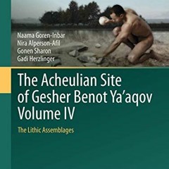 [DOWNLOAD] EPUB 📰 The Acheulian Site of Gesher Benot Ya‘aqov Volume IV: The Lithic A