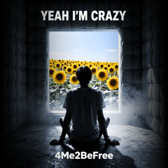 Yeah I’m Crazy