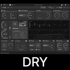 Acoustic Guitar Dry
