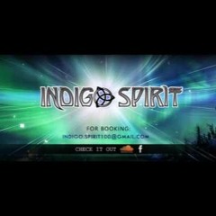 Indigo Spirit - Monkey In A Tunnel