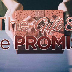 The Gift and The Promise - Gregg Donaldson