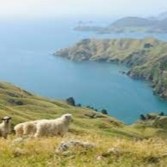 Nz