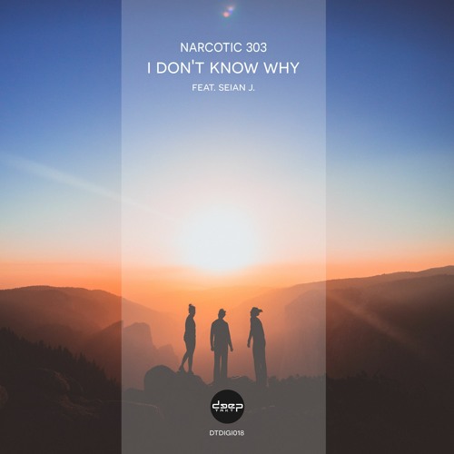 [dtdigi018] Narcotic 303 - I Dont Know Why (feat. Seian J) (Preview)