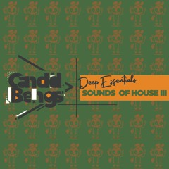 DHSA PREMIERE : Deep Essentials - One With Nature (Original Mix)