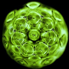 Bedouin Rave, ethnic & techno Mix at le Kaz Kabar 2017