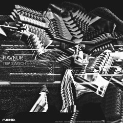 Havnur - Trip Switch [RSR00049]