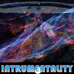 INSTRUMENTALITY