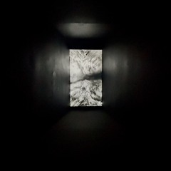 Bullet with butterfly wings (soul remix)