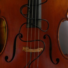 Not Quiet/disquiet0435