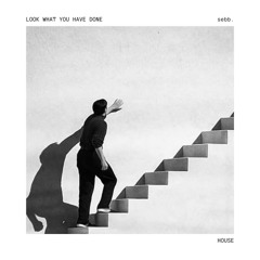 look what you have done (original mix)