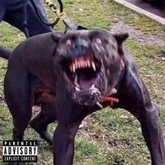DOGSH!T(ft. SHXDOW)