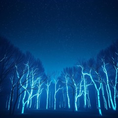 DJ Sampler - Whispered wishes in the dark (EDM version)