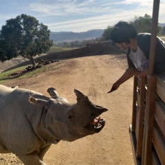 Best San Diego Zoo Safari Park Roar Snore Tours Review