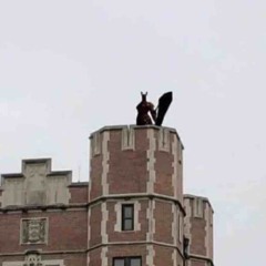 watch your back | made on the Rapchat app (prod. by Broodline)