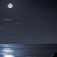 moonlight bay - berleezy