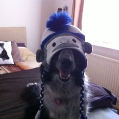 god has no plans for me