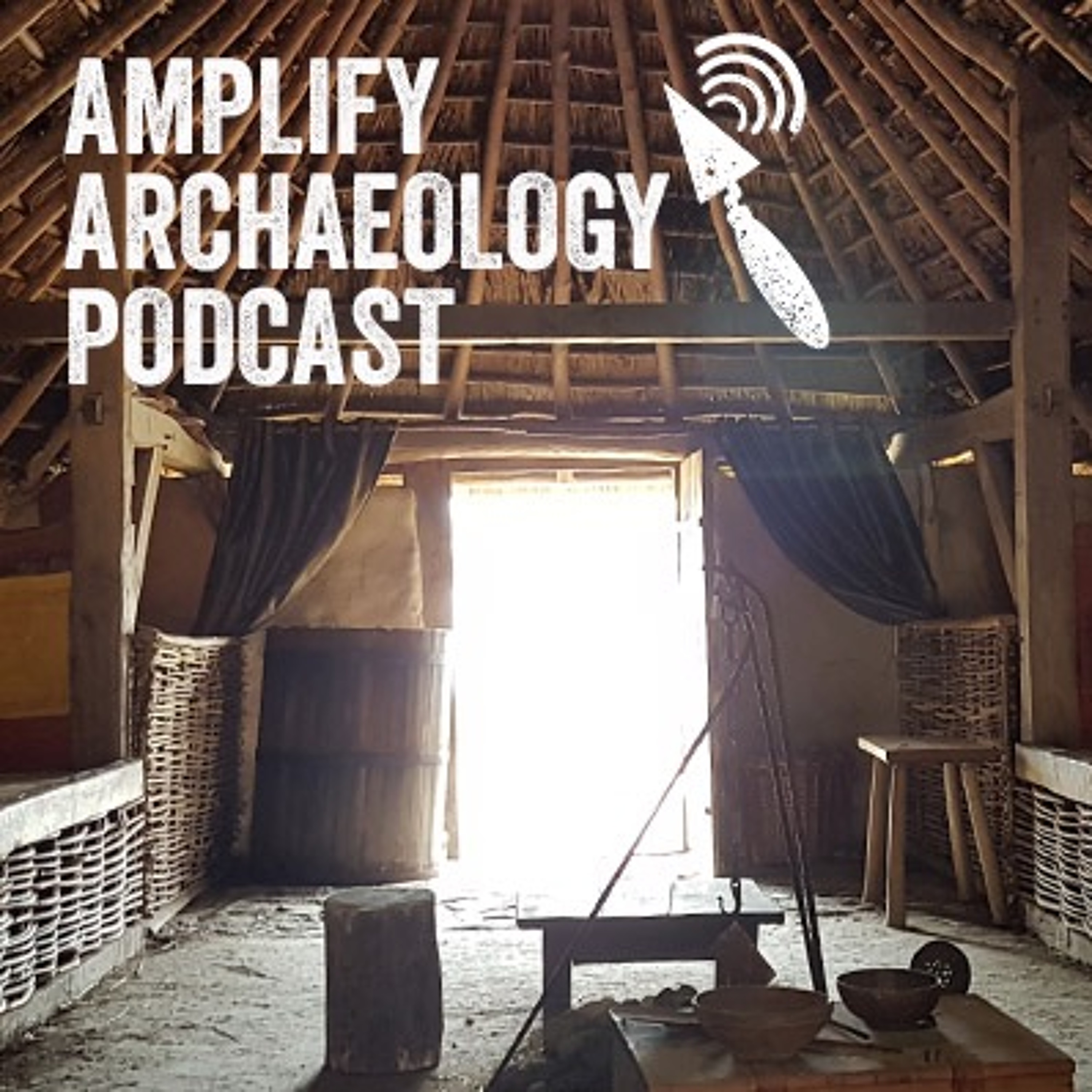 Viking Age Ireland - Amplify Archaeology Podcast Episode 29 episode artwork
