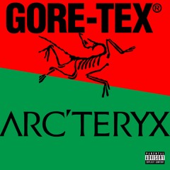ALL I WANT FOR CHRISTMAS IS GORE-TEX ARC'TERYX