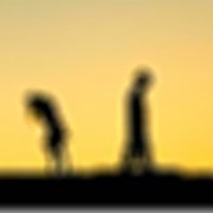 Mr.Bitters ft RichRai