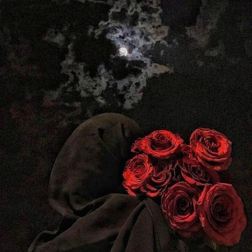 لامية العجم - الطّغرائي || ترنيم نوّاف