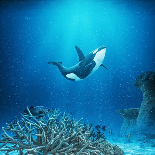 Deep Sea (2025)