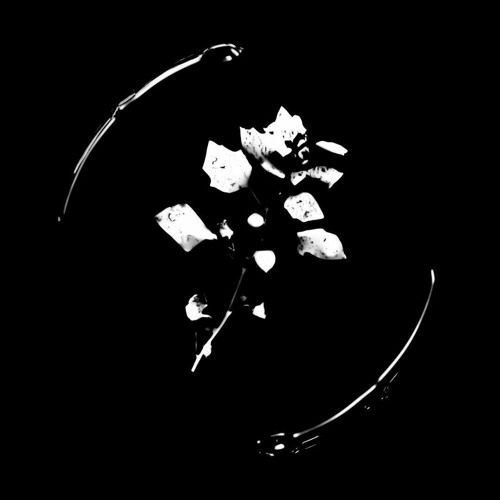 Wanna B Alone Ft. Locked Out