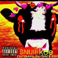 SNUIFKOE (Rechts Invoegen - Pluiskoe) Capybara On Crack Edit