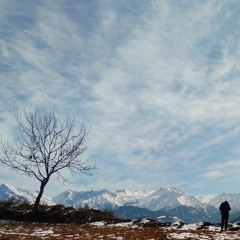 THOUGHTS OF BLUE