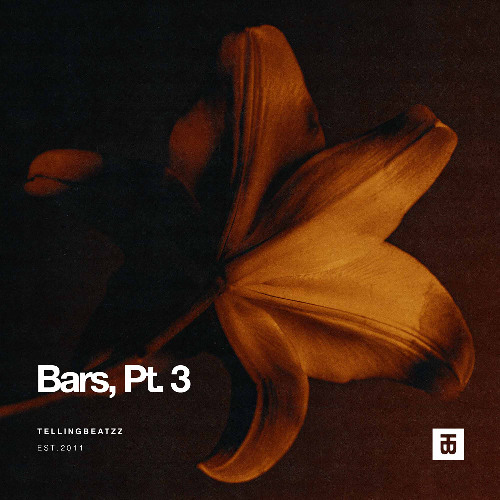 Black Thought x Aloe Blacc Type Beat - "Bars Pt. 3" Instrumental