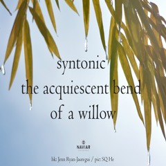 halF syntoniC [naviarhaiku465]