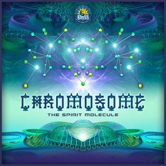Chromosome - The Spirit Molecule (Audiodiodact Remix)Teaser