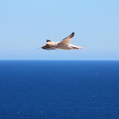 San Juan Flight