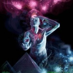 Elli - Theme v2
