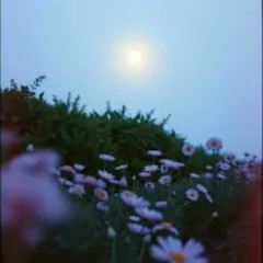 Sanctuary of the Divine Feminine