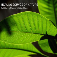 Ear to Ear Relaxing Instrumental Piano Music with Angelic Voices