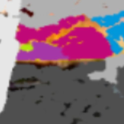 The Last Of Our Kind