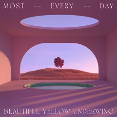 Beautiful Yellow Underwing