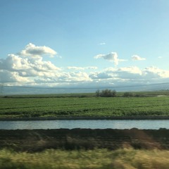 I left my keys in your bed