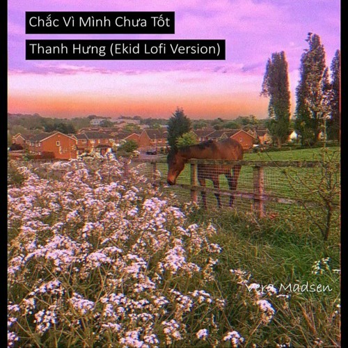 Chắc Vì Mình Chưa Tốt - Thanh Hưng (Lofi by Ekid.) | Lofi Vietnam